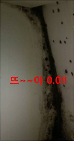 공연장 박물관 실내 체육관 문서 보관소 곰팡이 냄새 제거는 제습기로 1